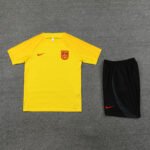Kit Short e Camisa da China Treino Amarelo 2023/24