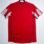 camisa-bayern-fc-2010-11-vermelha-home-masculina