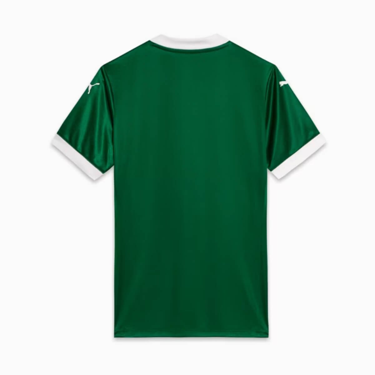 camisa-palmeiras-verde-2025-26-titular-jogador- Camisa Palmeiras Verde 2025/26 Titular Jogador
