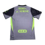 camisa-tigres-unl-goleiro-cinza-2025-26-masculina