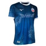 camisa-hansa-rostock-azul-2024-25-masculina