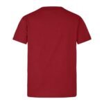 camisa-British-and-Irish-Lions-vermelha-2025-rugby