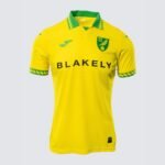 camisa-norwich-city-amarela-2025-26-home-masculina