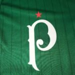 camisa-palmeiras-basebol-verde-botoes-202526-masculina (2)
