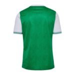 camisa-saint-etienne-verde-2025-26-home-masculina