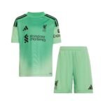 kit-infantil-liverpool-verde-2025-26-goleiro-unissex