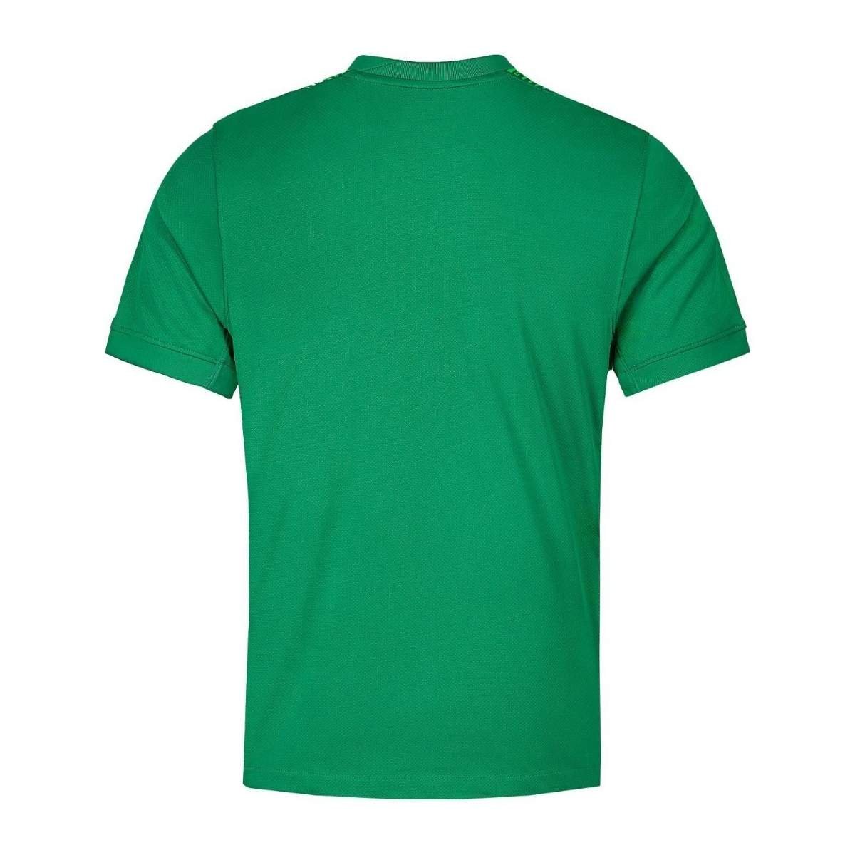 Camisa Birmingham City Verde 2025/26 Goleiro Masculina