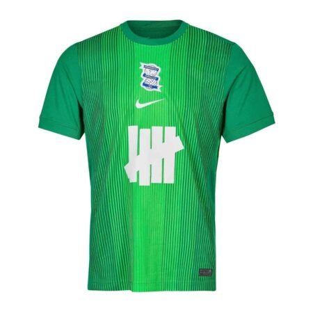 Camisa Birmingham City Verde 2025/26 Goleiro Masculina