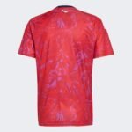 camisa-costa-rica-vermelha-2026-27-home-i-masculina