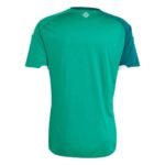 camisa-irlanda-do-norte-verde-2026-27-home-i-masculina