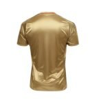 camisa-sport-recife-dourada-2016-17-terceira-iii-feminina