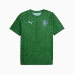 camisa-manchester-city-verde-2025-26-pre-jogo-masculina