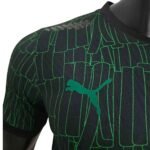 camisa-goleiro-costa-do-marfim-2025-26-home-i-masculina