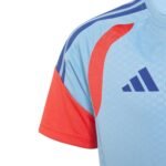 camisa-japao-2026-treino-azul-masculina
