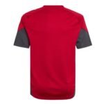 camisa-liverpool-fc-2025-26-Tiro-25-Competition-masculina