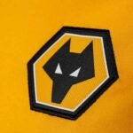 camisa-Wolverhampton-Wanderers2018-19-home-i-masculina