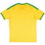 camisa-selecao-africa-do-sul-amarela-i-2026-adidas-originals-masculina