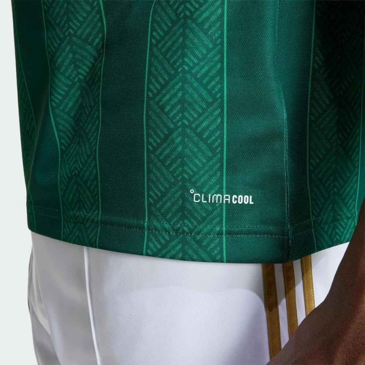 camisa-selecao-africa-do-sul-ii-2026-adidas-originals-masculina-FBA-85RQ-060 (3) Camisa África do Sul Verde Copa 2026/27 Away II Originals Masculina