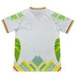 camisa-seleçao-de-mali-branca-2026-27-third-masculina