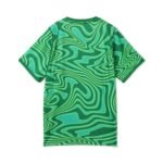 camisa-brasil-verde-goleiro-copa-2026-27-masculina