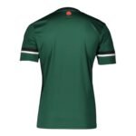 camisa-schalke-04-verde-2025-26-aniversario-masculina