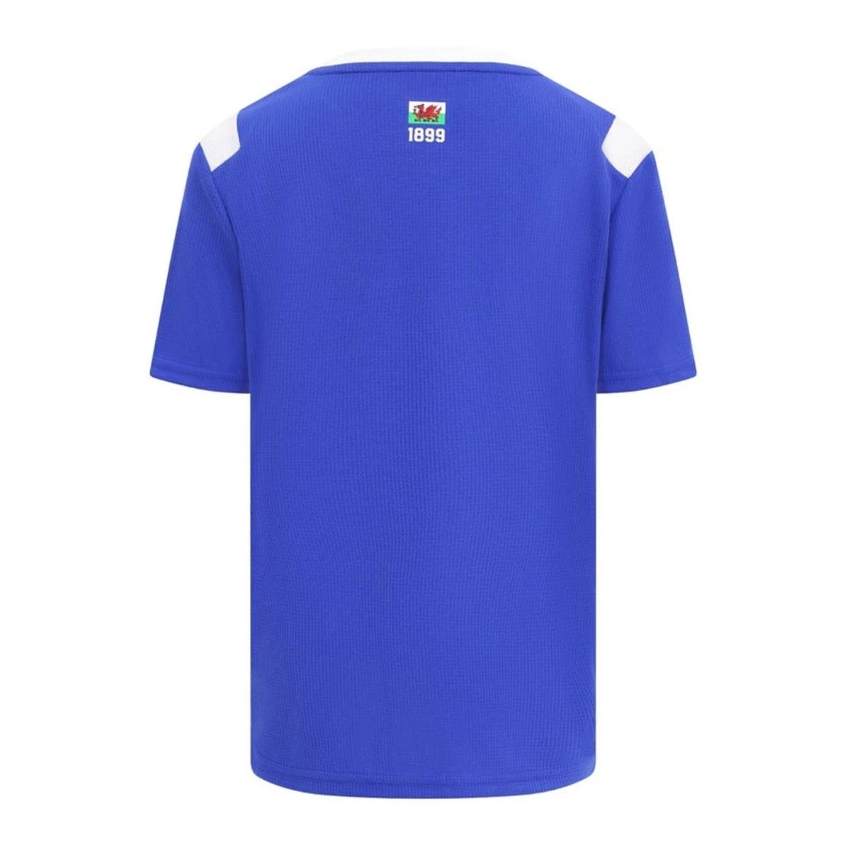 camisa-cardiff-city-azul-2026-27-home-masculina (1) Camisa Cardiff City Azul 2026/27 Home I Masculina