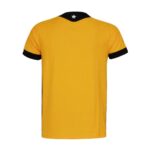 camisa-botafogo-amarela-2026-27-goleiro-home-masculina