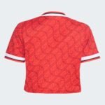 camisa-cropped-flamengo-vermelha-terceira–2026-27-iii-feminina
