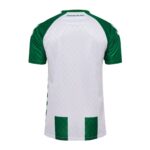 camisa-werder-bremen-verde-2026-27-home-i-masculina