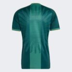camisa-argentina-despedida-messi-verdel-2026-27-masculina